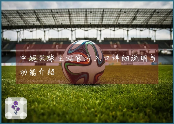 中超买球主站官方入口详细说明与功能介绍
