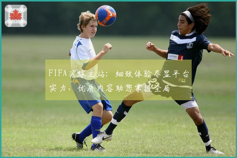 FIFA买球主站：细致体验尽显平台实力，优质内容助您掌握全局
